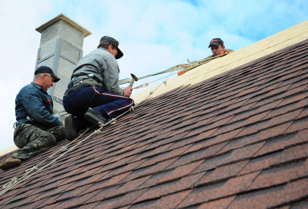 Best Flat Roof Repair Services  in Fall City, WA